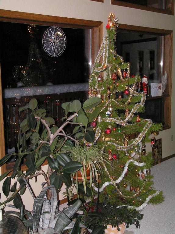 End Of The Road B & B Cranbrook Esterno foto