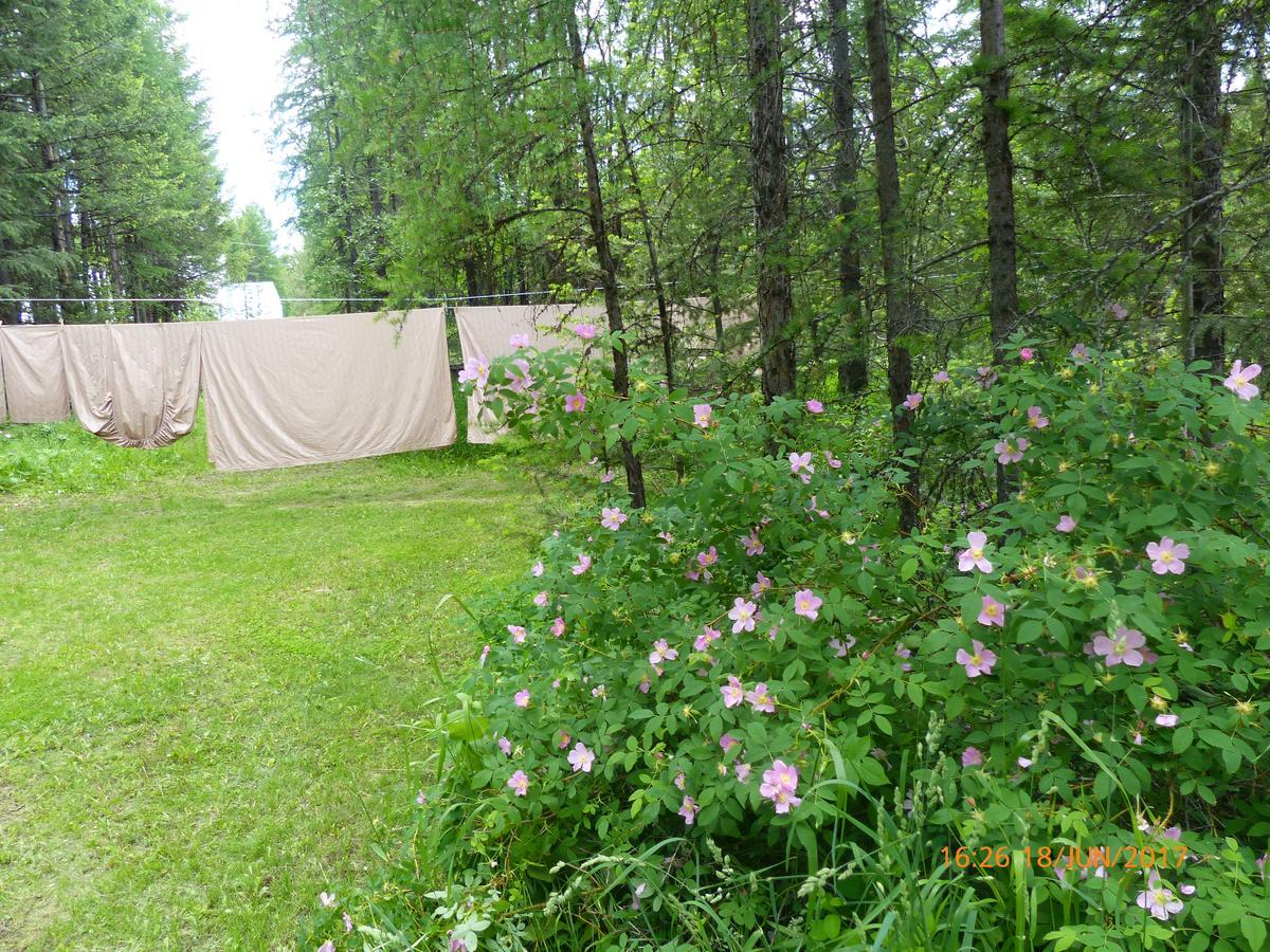 End Of The Road B & B Cranbrook Esterno foto